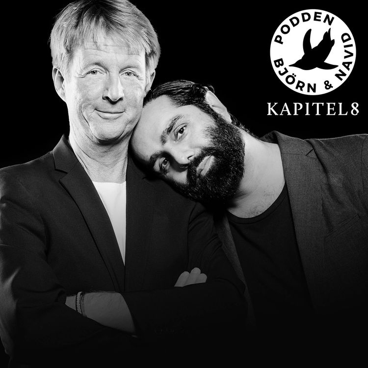 cover art for Avsnitt 71 - Karriär