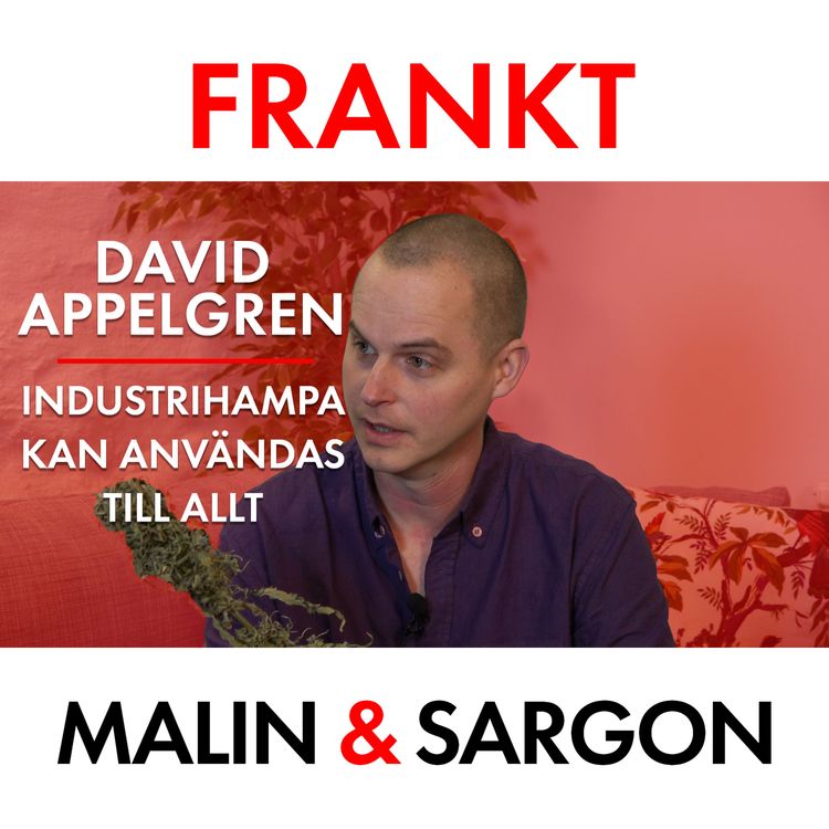 cover art for FRANKT: Hampabonden David Appelgren del 2