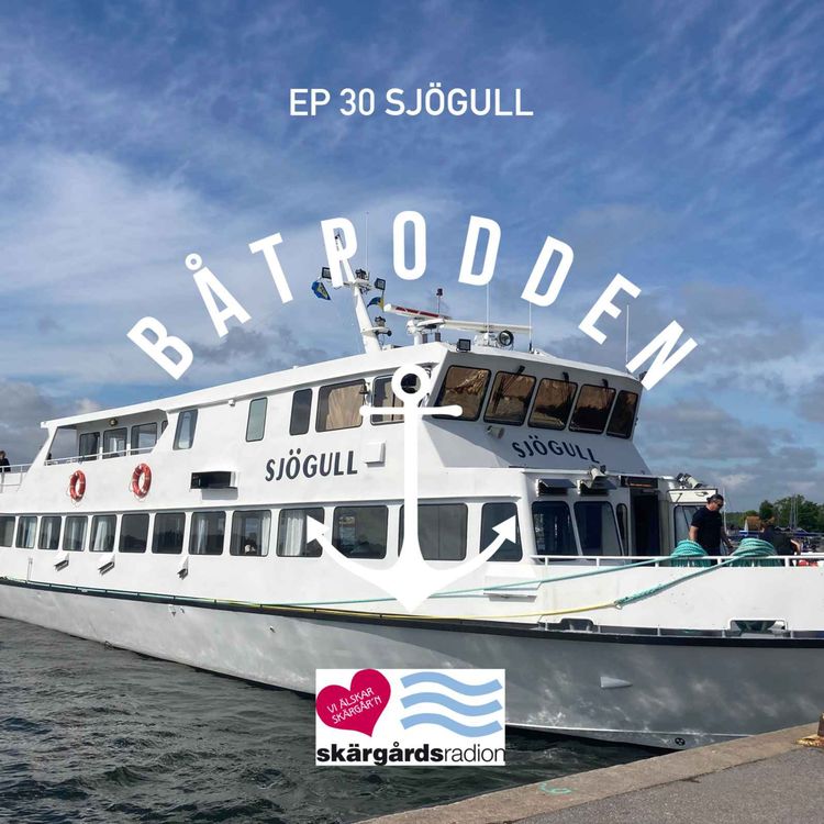 cover art for Avsnitt 30 - Sjögull