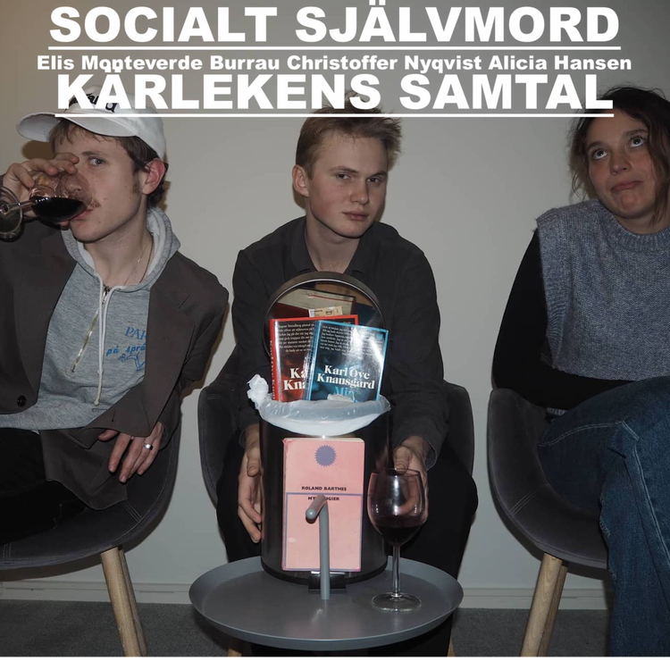 cover art for dom duktiga (avklädda) pojkarna på expressen kultur