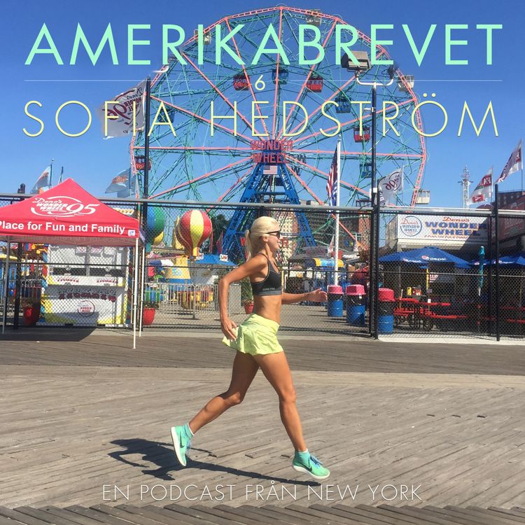 cover art for Sofia Hedström de Leo