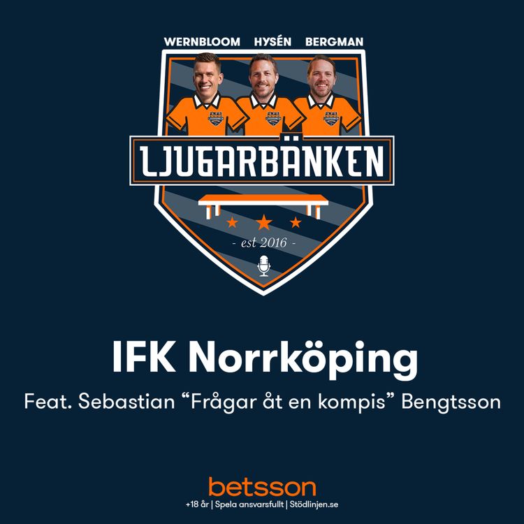 cover art for Norrköping '22 - Valpiga Peking