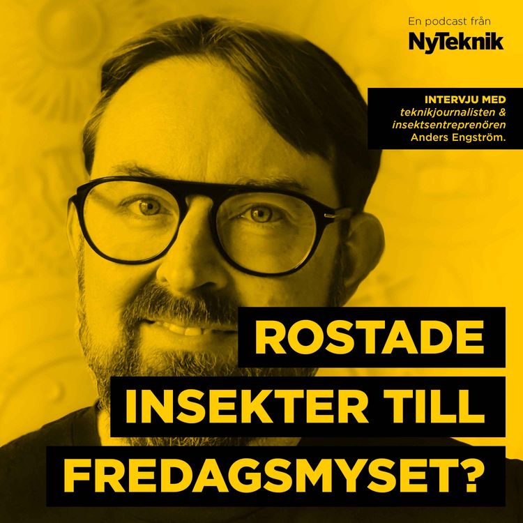 cover art for #117 – Ätbara insekter i tacobrödet mer än en hipstertrend