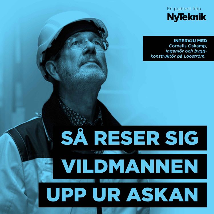 cover art for #118 - Ingenjörens utmaningar med att få Vildmannen att resa sig ur askan