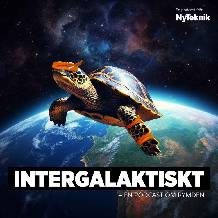 cover art for #149 – Intergalaktiskt: Kan du ens något om djur i rymden? 