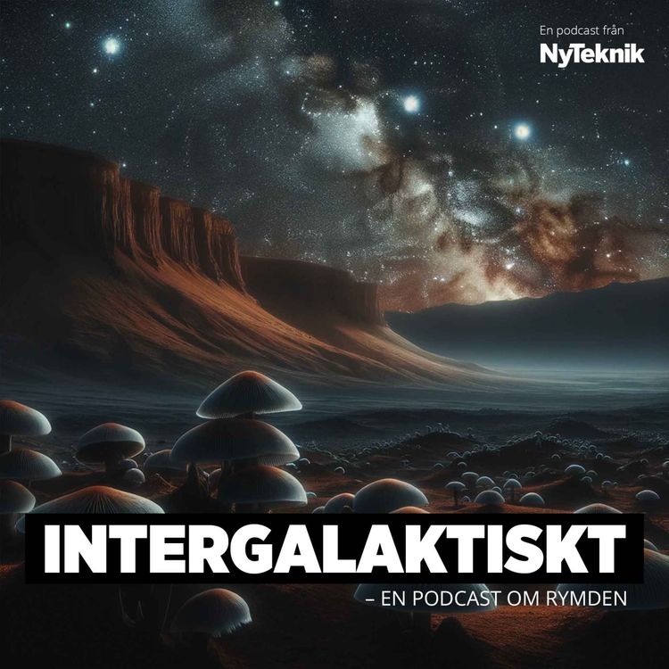 cover art for #159 – Blir vi ett svampätande underjordiskt folk på Mars? 