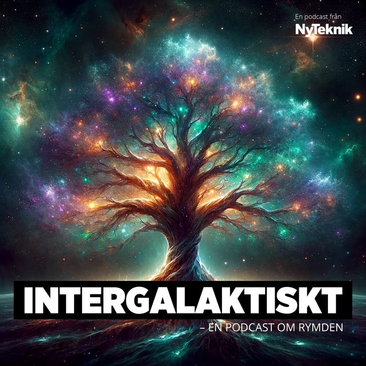 cover art for #161 – Den slutgiltiga teorin om vårt mystiska universum – är vi något på spåret? 