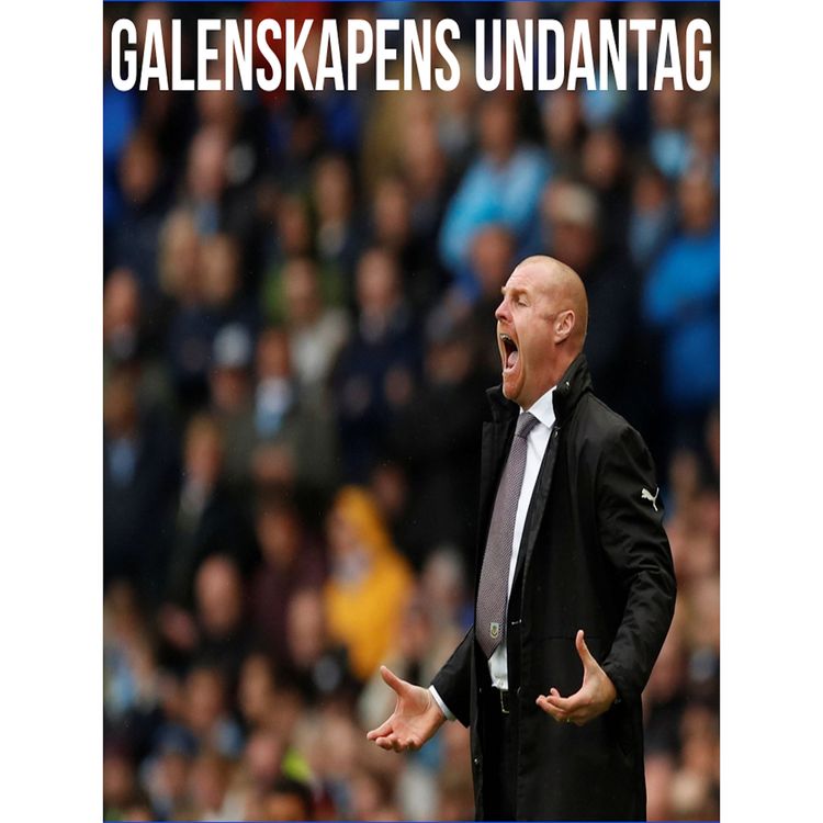 cover art for Galenskapens undantag