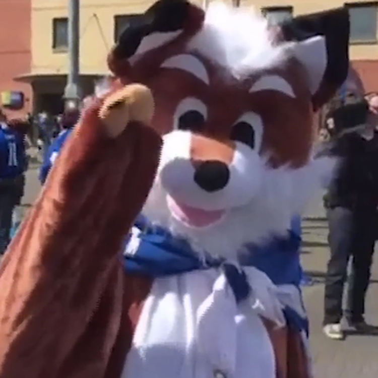 cover art for Miracle On Grass