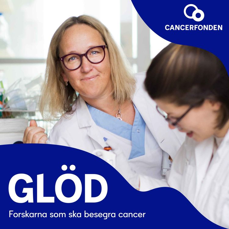 cover art for GLÖD: Hon letar spår av bukspottkörtelcancer