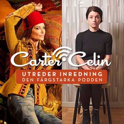 cover art for Carter & Celin