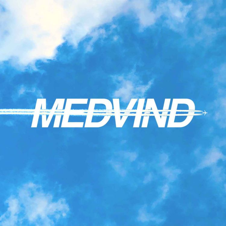 cover art for Livet som flygvärdinna – Charlotte Lundquist berättar