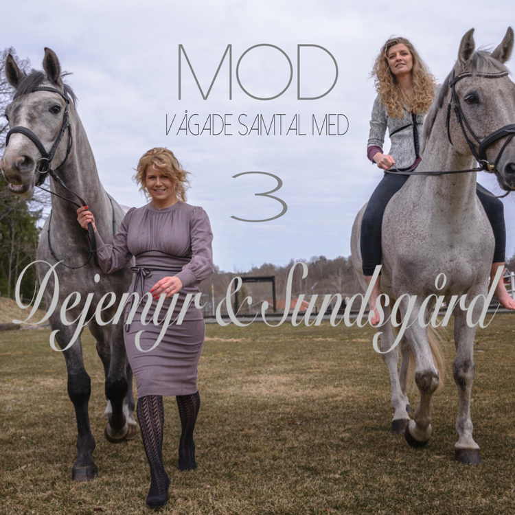 cover art for 3 Våld