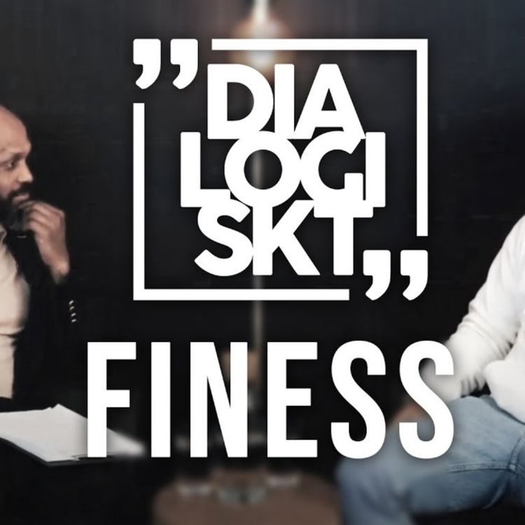 cover art for DLGSKT Special, Finess