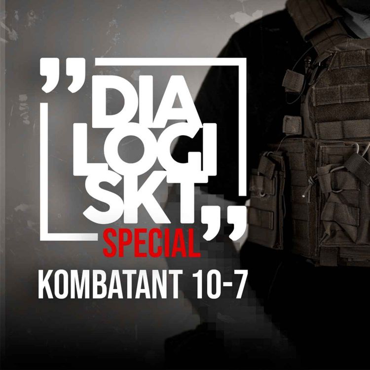 cover art for DLGSKT Special Svenskarna i Ukraina; kombattant 10-7