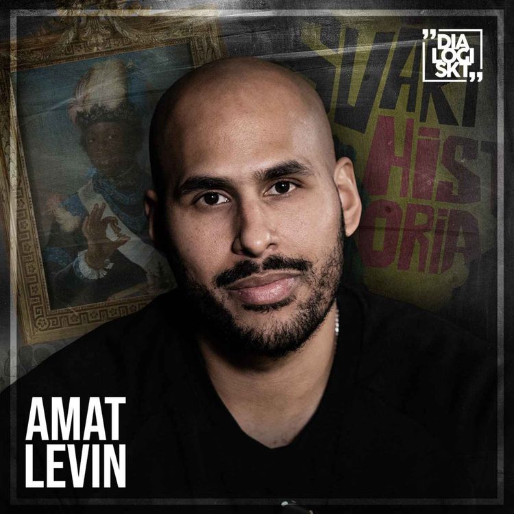 cover art for #138 Amat Levin ”Svart historia”