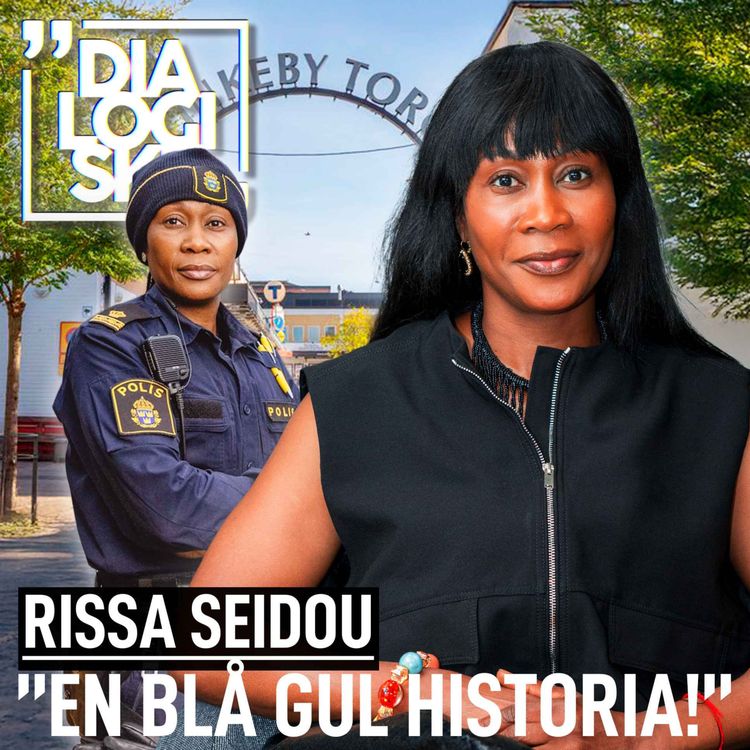 cover art for #253, Risse Seidou, ”EN BLÅ-GUL HISTORIA”