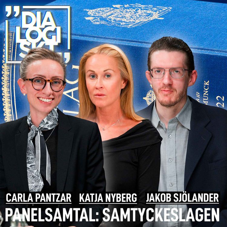 cover art for DLGSKT SPECIAL: Panelsamtal- Samtyckeslagen