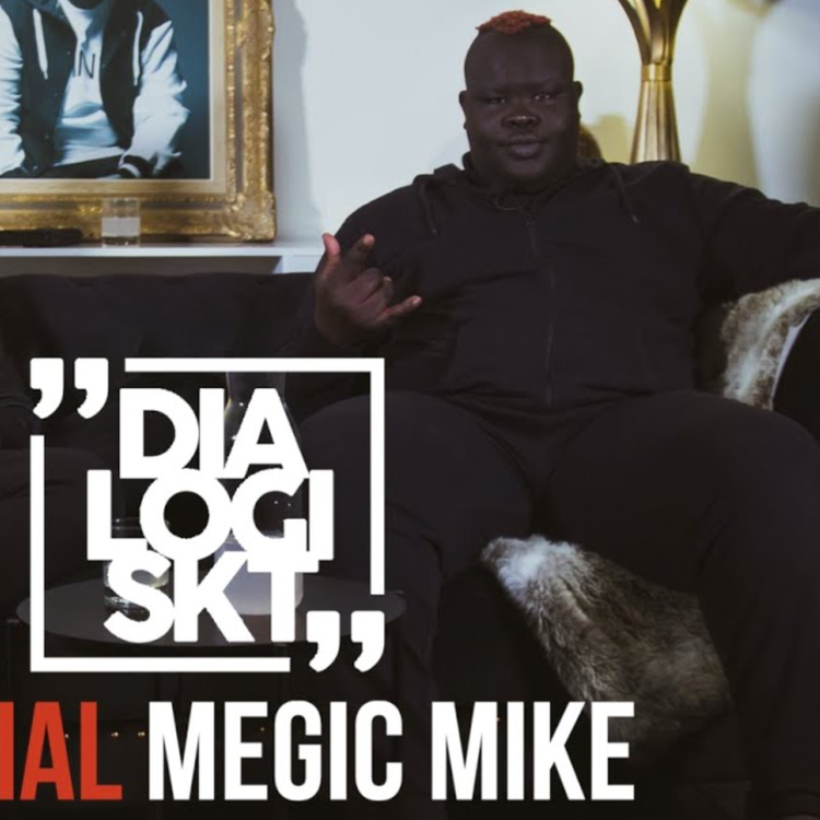 cover art for DLGSKT Special, Megic Mike