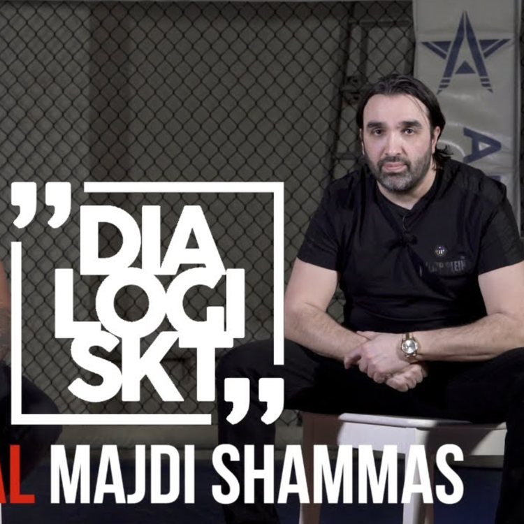 cover art for DLGSKT, Special Majdi Shammas