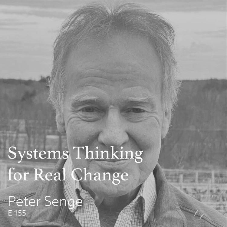 cover art for Systems Thinking for Real Change