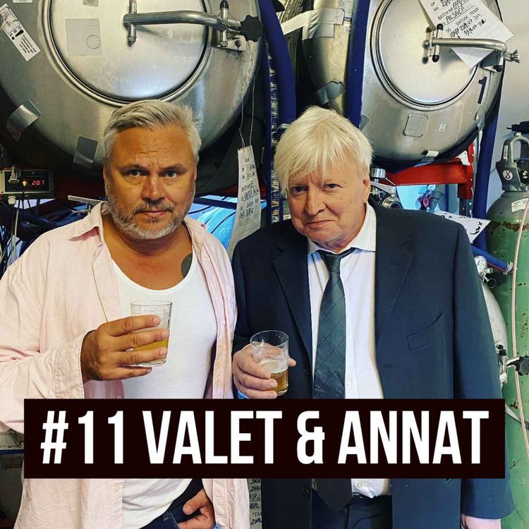 cover art for #11 valet och annat