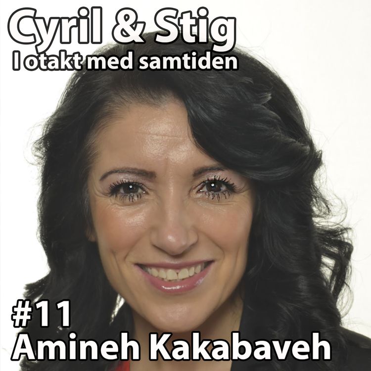 cover art for #11 - Amineh Kakabaveh