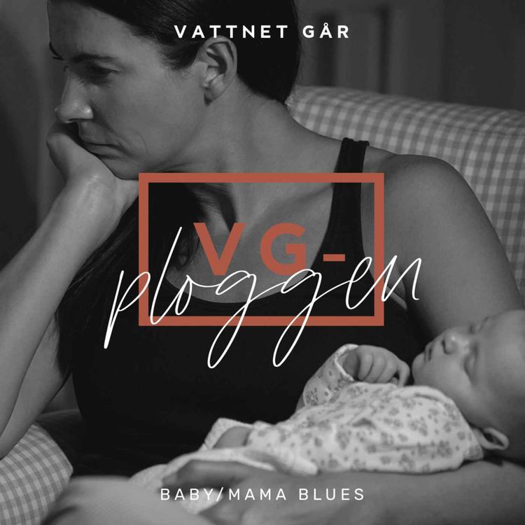 cover art for 351. VG-ploggen "Vad är Baby/Mama Blues?"