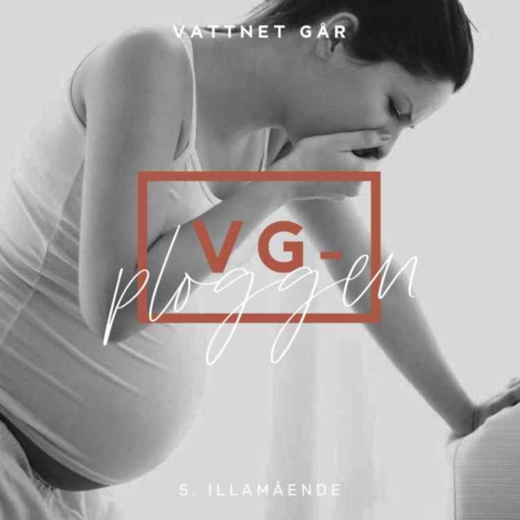 cover art for 375. VG-plogg Repris - Gravid-illamående, ett nödvändigt ont?