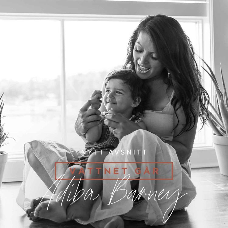 cover art for 394. VG: Adiba Barney - "Efter allt jag gått igenom, så fungerar det inte"