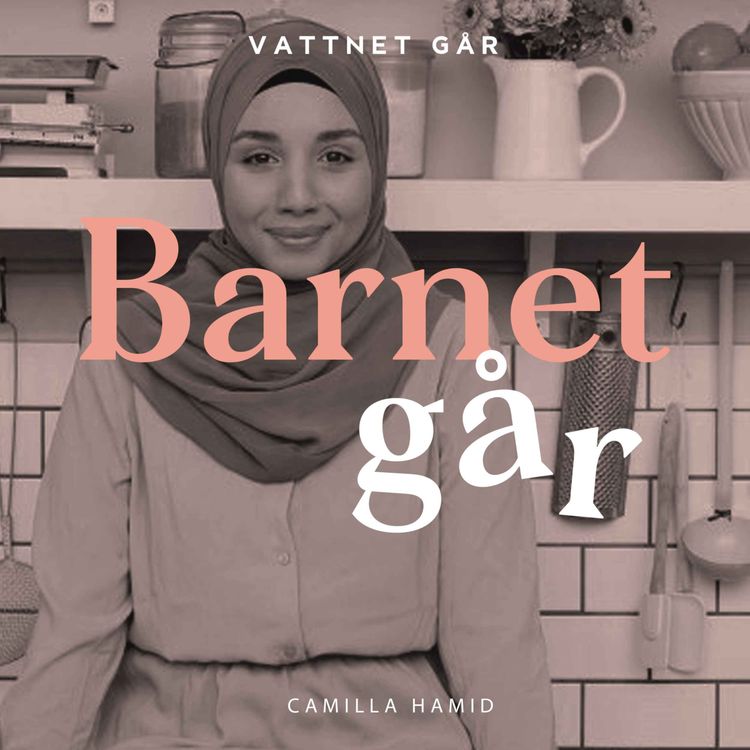 cover art for 422. Barnet Går - Camilla Hamid, "Det var väldigt många som skulle tycka till om vår familj"