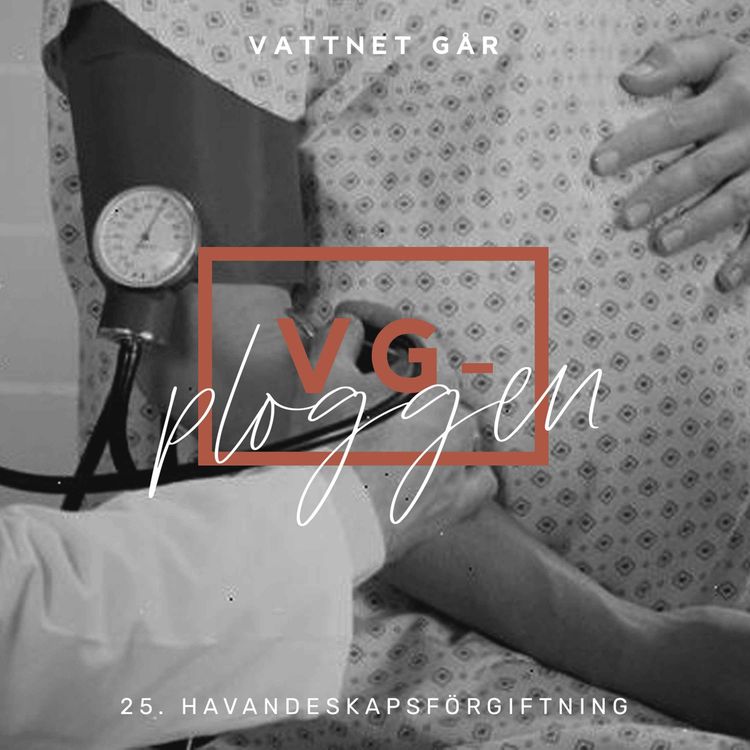 cover art for 438. VG-ploggen: Havandeskapsförgiftning - vad är det? - repris
