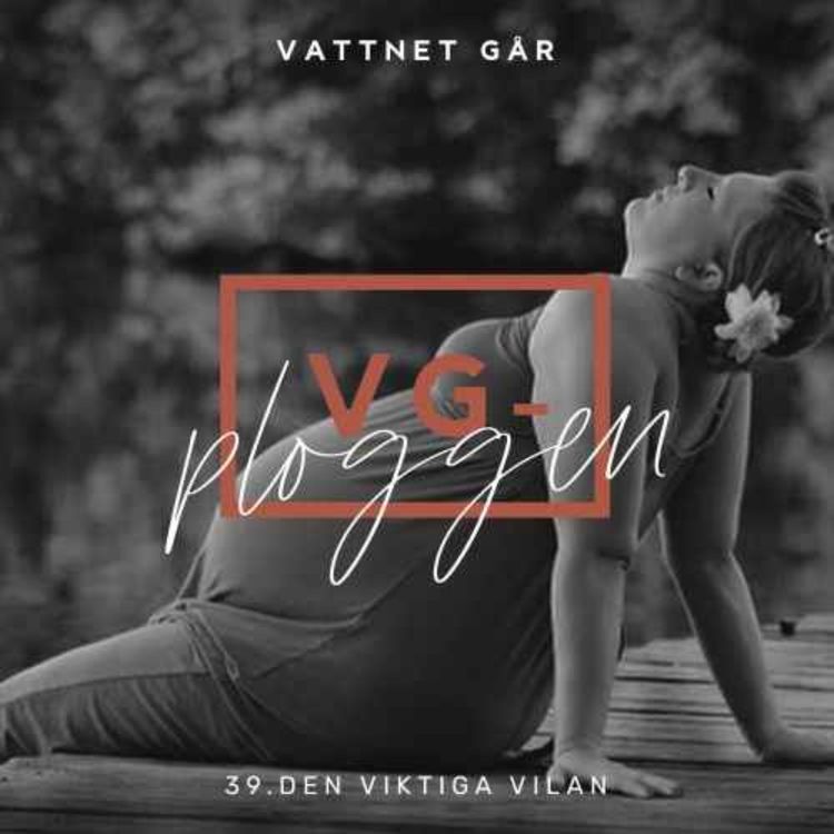 cover art for 456. VG-Ploggen, 'Den viktiga vilan'