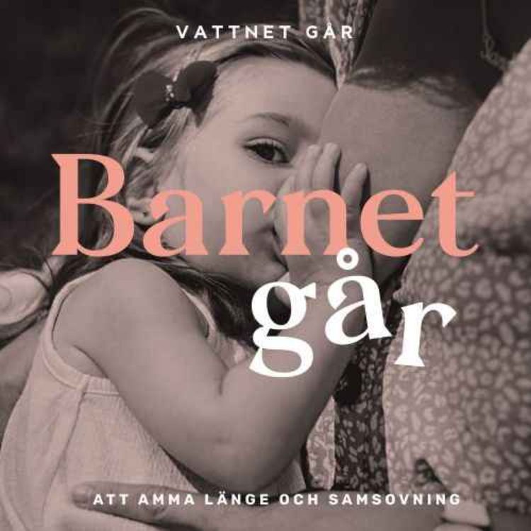 cover art for 458. Barnet Går - Ida Therén, "Jag tror inte på att hålla ihop för barnens skull"