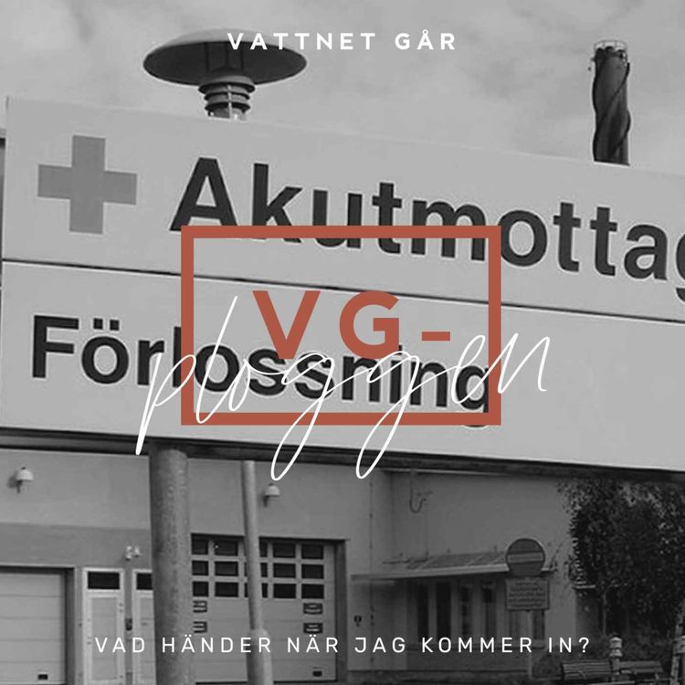 cover art for 498. VG-ploggen - Vad händer när jag kommer in till förlossningen?