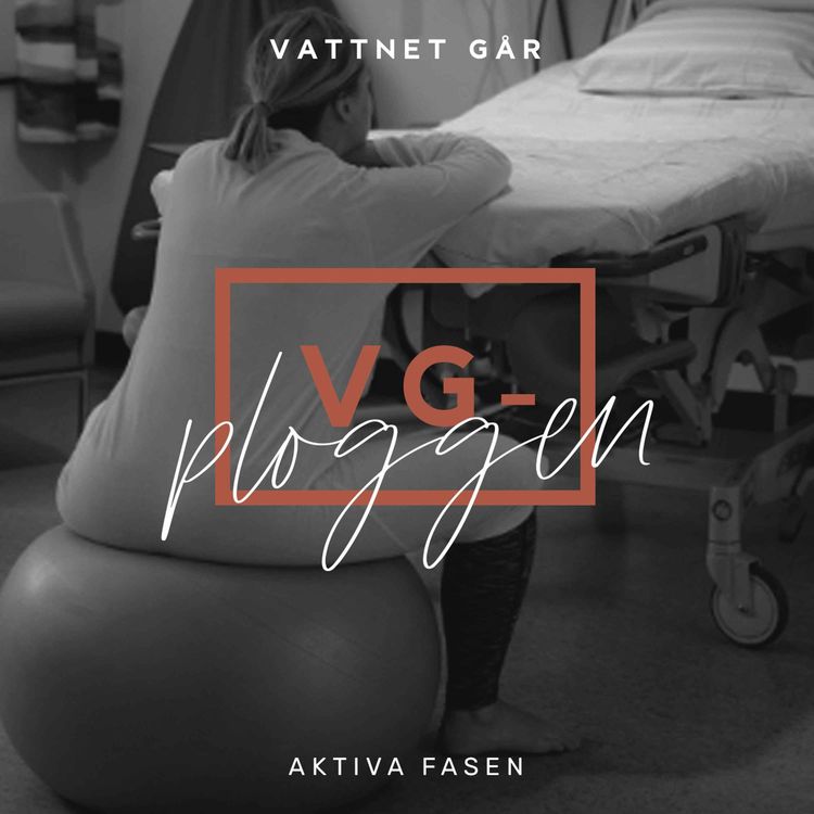 cover art for 504. VG-ploggen "Så funkar den aktiva fasen" (Repris)