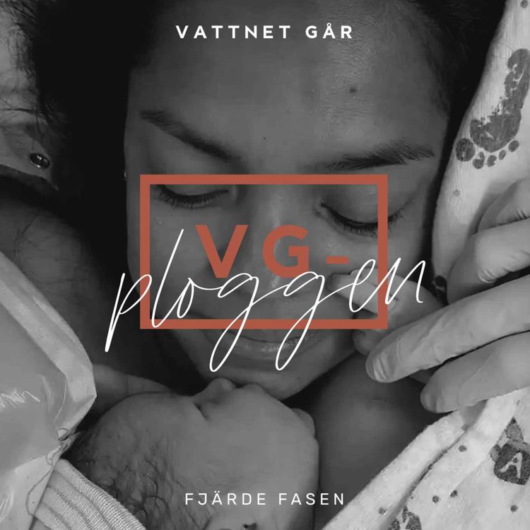 cover art for 510. VG-ploggen: Fjärde fasen - den finns! (Repris)