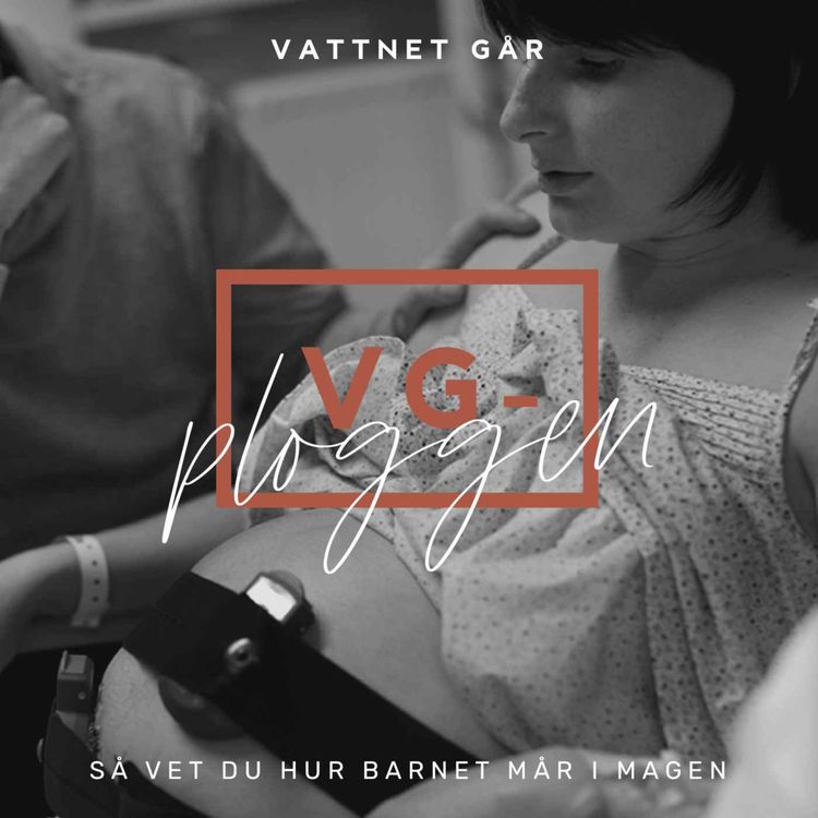 cover art for 513. VG-ploggen - "Så vet du att ditt barn mår bra i magen"