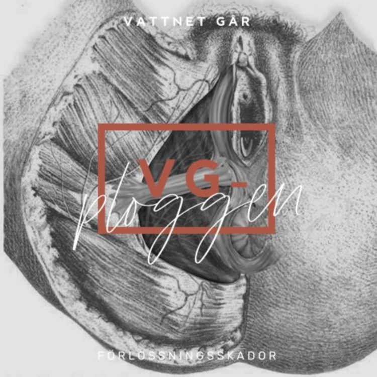 cover art for 522. VG-ploggen: Vad är en förlossningsskada? (Repris)