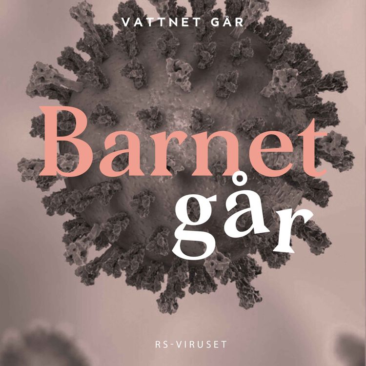 cover art for 527. Barnet Går - RS-virus, så skyddar du er (Repris)