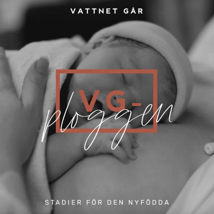 cover art for 528. VG-ploggen "Den nyföddas första stadier" (Repris)