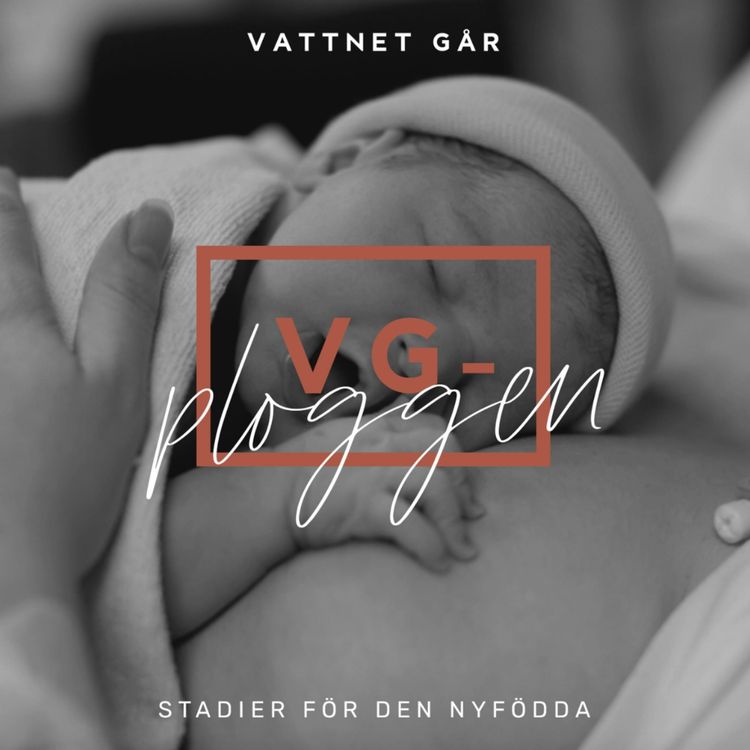 cover art for 543. VG-ploggen - Den nyföddas första stadier