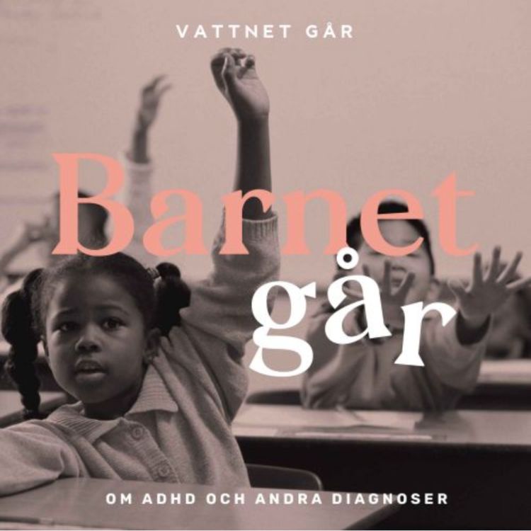 cover art for 545. Barnet Går - Reyhaneh Ahangaran, "Så gör du om du misstänker att ditt barn har ADHD" (Repris)