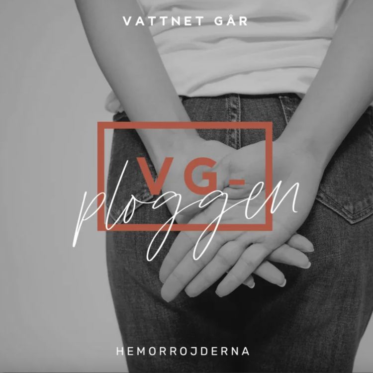 cover art for 576. VG-ploggen - Hemeorrojderna (Repris)