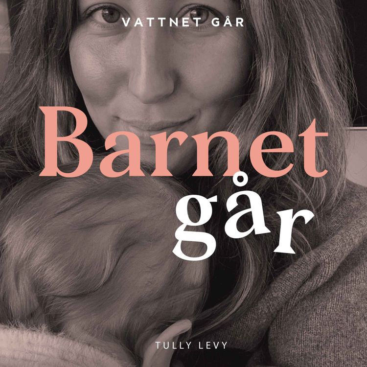 cover art for 647. Barnet Går - Tully Levy, "Allt är bara en kort tid"