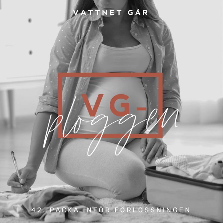 cover art for 677. VG-ploggen, "Tips för packning av BB-väskan"
