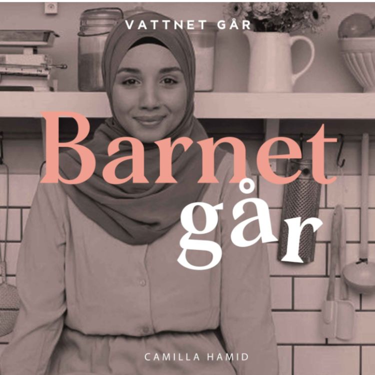 cover art for 705. Barnet Går - Camilla Hamid, "Alla ville lägga sig i hur vår familj skulle vara" (Repris)