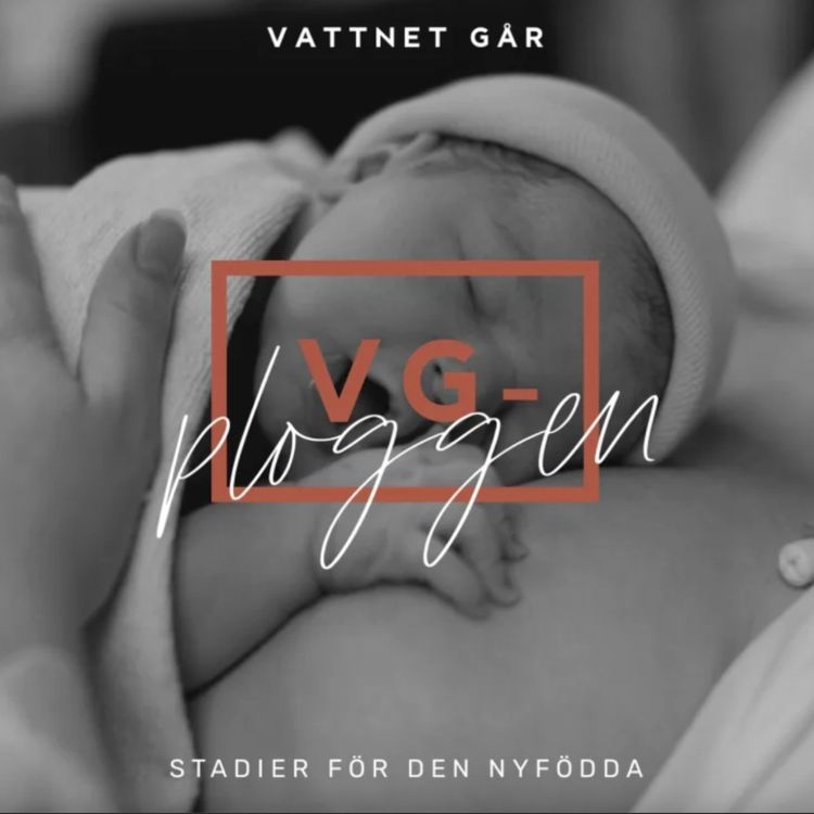 cover art for 742. VG-ploggen - Den nyföddes första stadier (Repris)