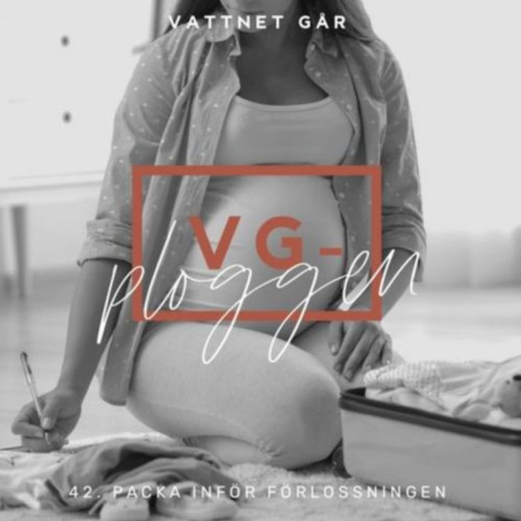 cover art for 866. VG-ploggen, "Tips för packning av BB-väskan"