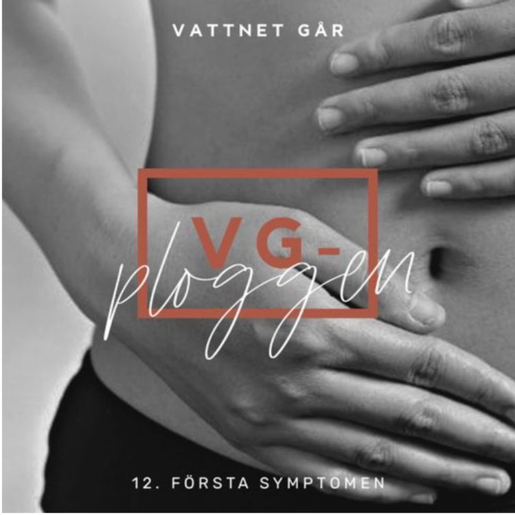 cover art for 977. VG-ploggen: De första symptomen på graviditet